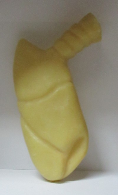 Pulmão em cera