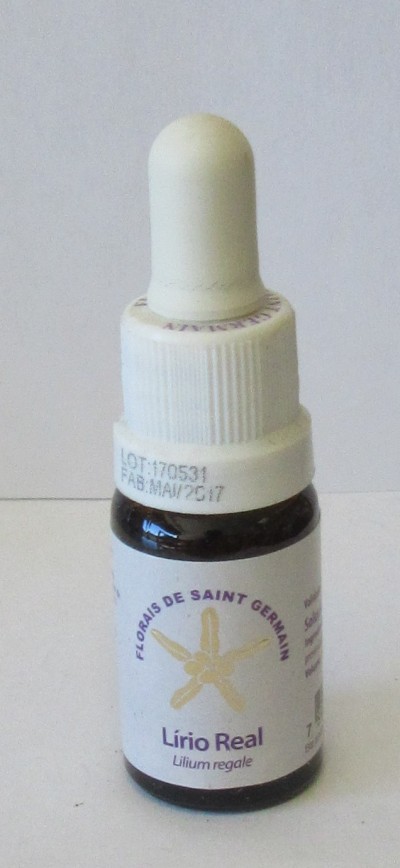 Floral Lírio Real