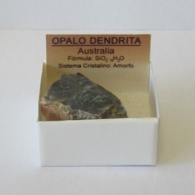 Opalo Dendrita