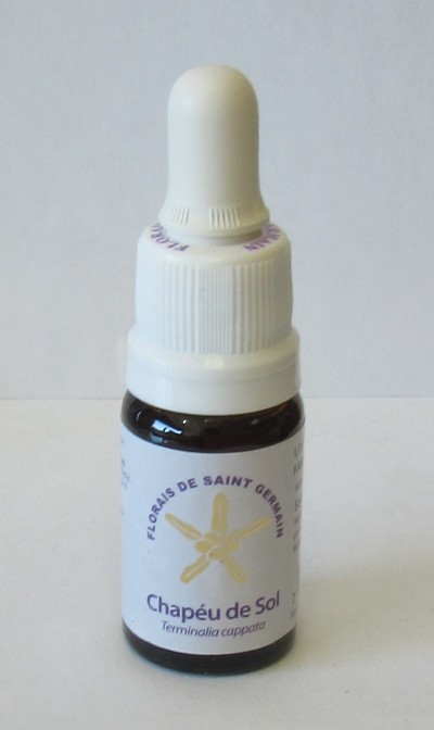 Floral Chapéu de Sol