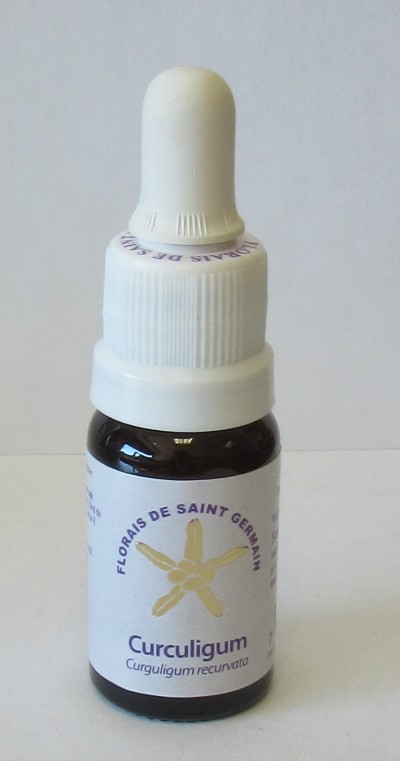 Floral Curculigum