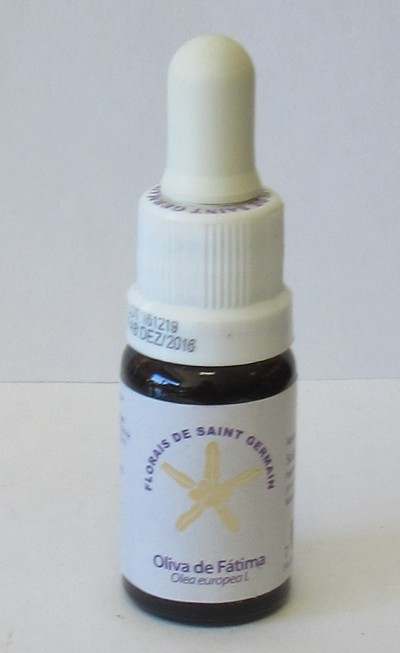 Floral Oliva de Fátima