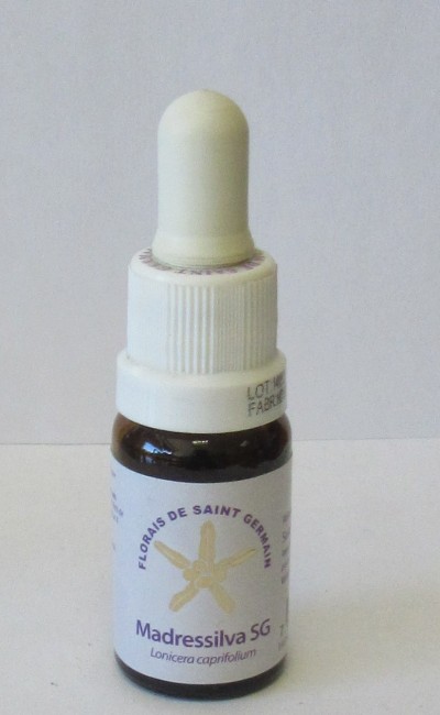 Floral Madressilva SG