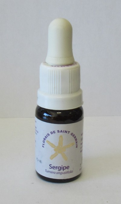 Floral Sergipe