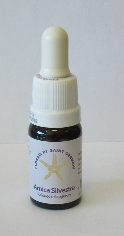 Floral Arnica Silvestre