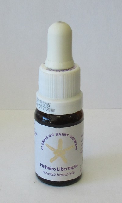 Floral Pinheiro Libertação