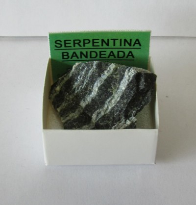 Serpentina