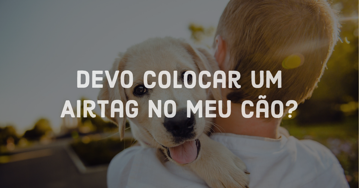 Apple Airtags: Posso colocar no meu cão? Apple Airtags: Posso colocar no meu cão?