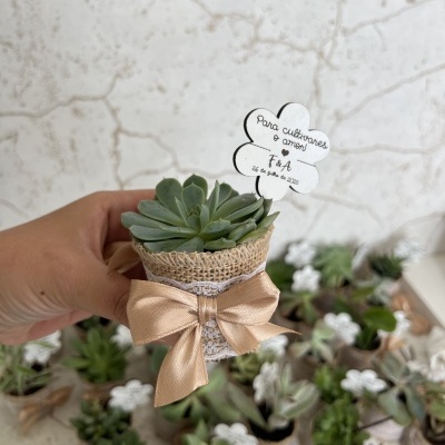 Lembrança suculenta