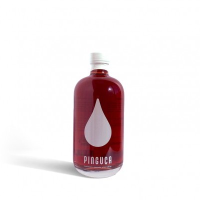 Pinguça Bosque 50cl