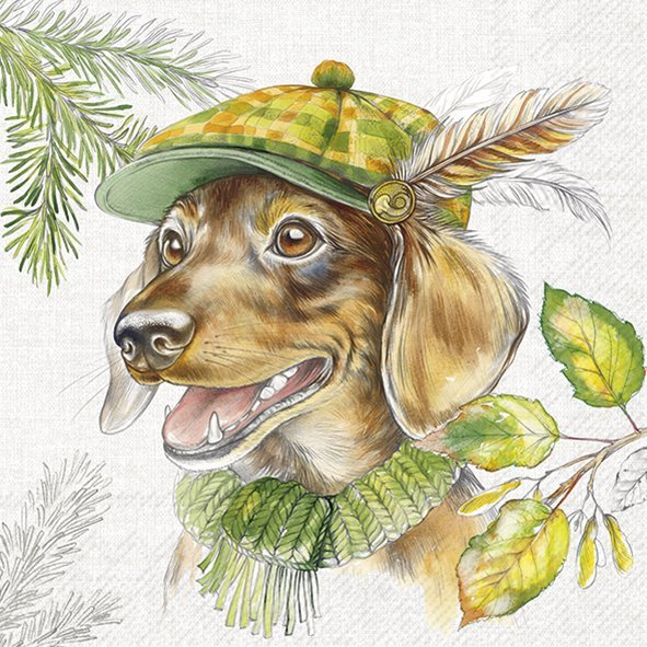 Guardanapos de papel Cão dachshund - IHR Ilustração de cão com boné e cachecol ao ar livre
