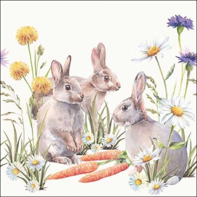 https://www.pinheirobravo.pt/product/pano-de-cozinha-coelhinhos-50x70-cm-teatowel-ambiente https://www.pinheirobravo.pt/product/pano-de-cozinha-coelhinhos-50x70-cm-teatowel-ambiente