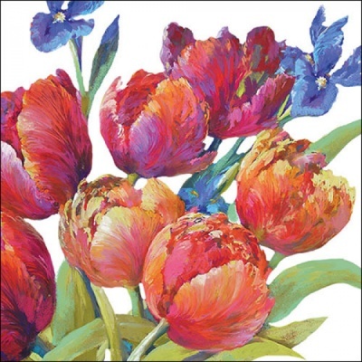 https://www.pinheirobravo.pt/product/pano-de-cozinha-tulipas-50x70-cm-teatowel-ambiente https://www.pinheirobravo.pt/product/pano-de-cozinha-tulipas-50x70-cm-teatowel-ambiente