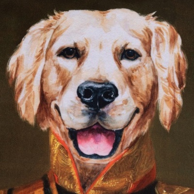 Almofada com Golden Retriver Real 45*45