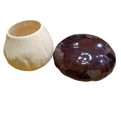 https://www.pinheirobravo.pt/product/bordallo-pinheiro-cogumelo-caixa-media https://www.pinheirobravo.pt/product/bordallo-pinheiro-cogumelo-caixa-media