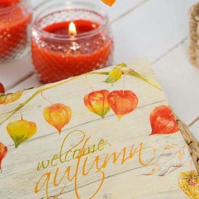 Acessorios de mesa Acessorios de mesa