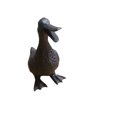 https://www.pinheirobravo.pt/product/pato-de-ferro-pequeno-9-17-16cm