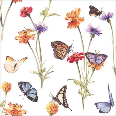 https://www.pinheirobravo.pt/product/pano-de-cozinha-flores-campestres-e-borboletas-50x70-cm-teatowel-ambiente https://www.pinheirobravo.pt/product/pano-de-cozinha-flores-campestres-e-borboletas-50x70-cm-teatowel-ambiente