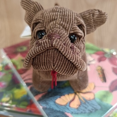 Pisa-Papéis Bruno Junior - Bull Dog