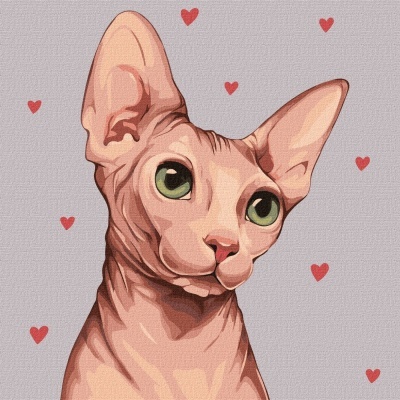 Gatinho Sphynx