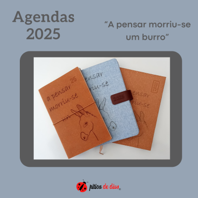 Três agendas 2025 com capas castanho claro e azul jeans, texto e desenho de burro.
