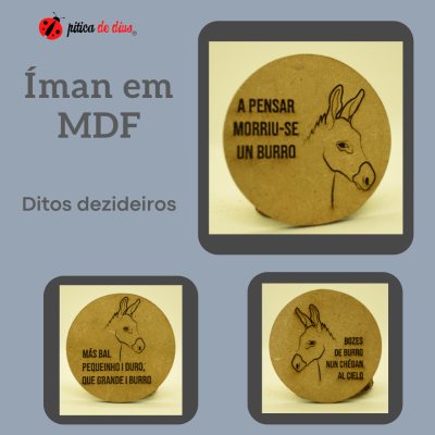 Três ímanes redondos em MDF com desenhos de burros e frases em galego sobre fundo cinzento