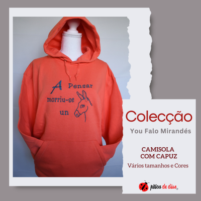 Sweatshirt laranja com capuz e bordado com texto e desenho frontal