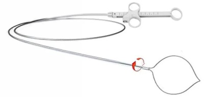 Ansa de Polipectomia Oval
