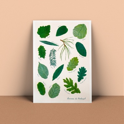 Ilustração A3 em risografia  – Árvores de Portugal