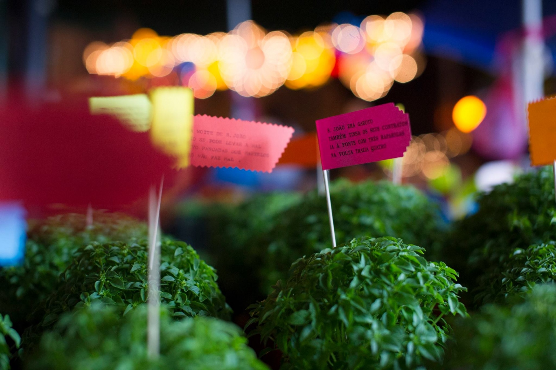 Alteração de Horários Funcionamento Loja no São João