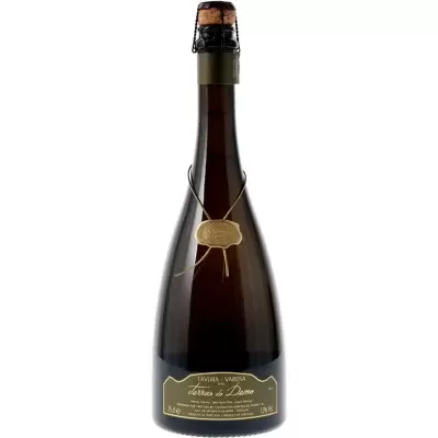 TERRAS DO DEMO BRUTO