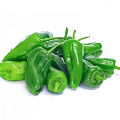 Pimento Padron kg