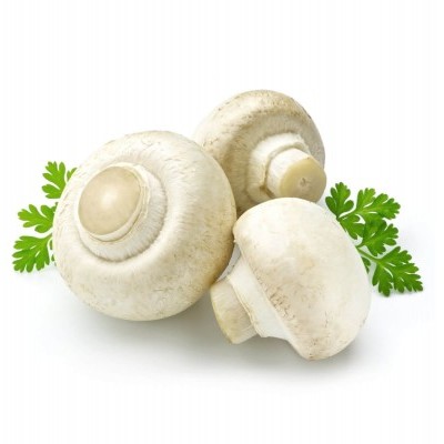 Cogumelo Branco / kg
