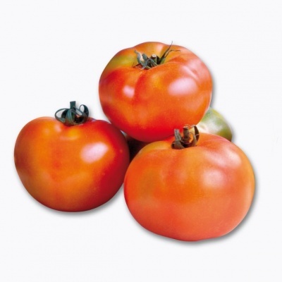 Tomate Salada / 1Kg