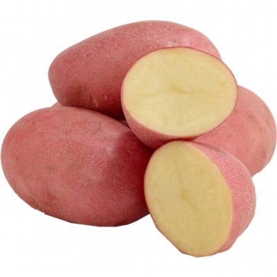 Saco Batata Vermelha 5 KG