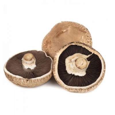 Cogumelo Portobello /kg