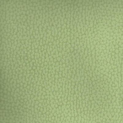 Pele Sintética - Verde Claro