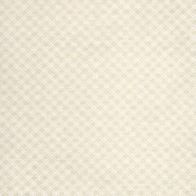 Tecido Plastificado | Cruzado - Pérola