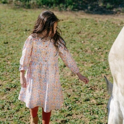 Tecido Katia | Horses Countryside