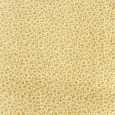 Tecido Apple Cider | Bubbles - Natural