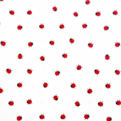 Tecido Ladybug
