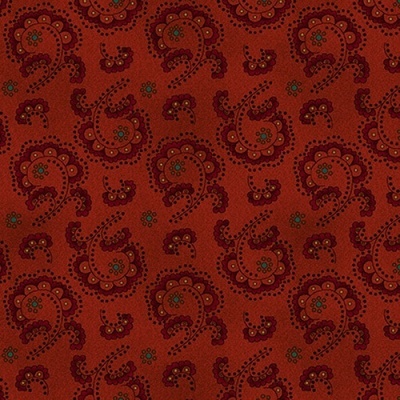 Tecido Kim Diehl | Idaho Prairie Star - Sylized Swirl