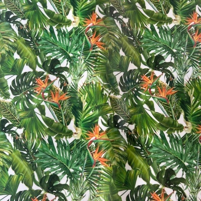 Tecido Plastificado | Monstera