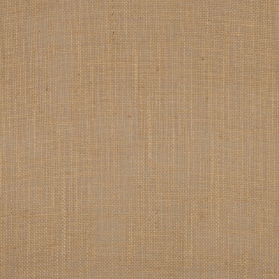 Serapilheira - Natural Serapilheira - Natural