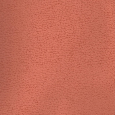 Pele Sintética - Nude