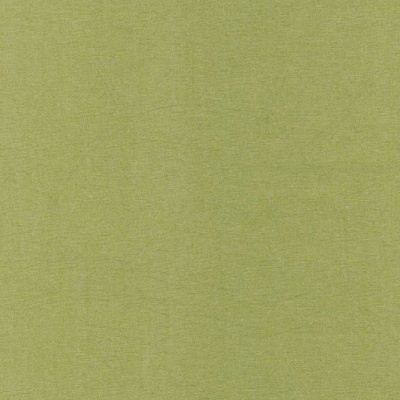 Tecido Plastificado | Liso - Verde Oliva