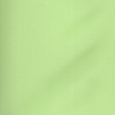 Tecido Plastificado | Liso - Verde Iceberg