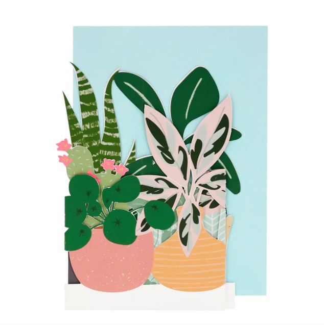 Postal Vaso com Plantas