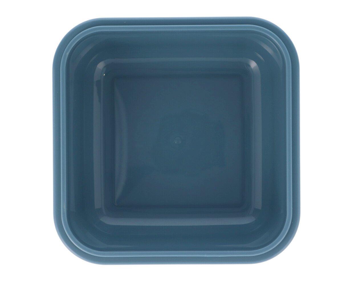 Caixas para alimentos skater dog