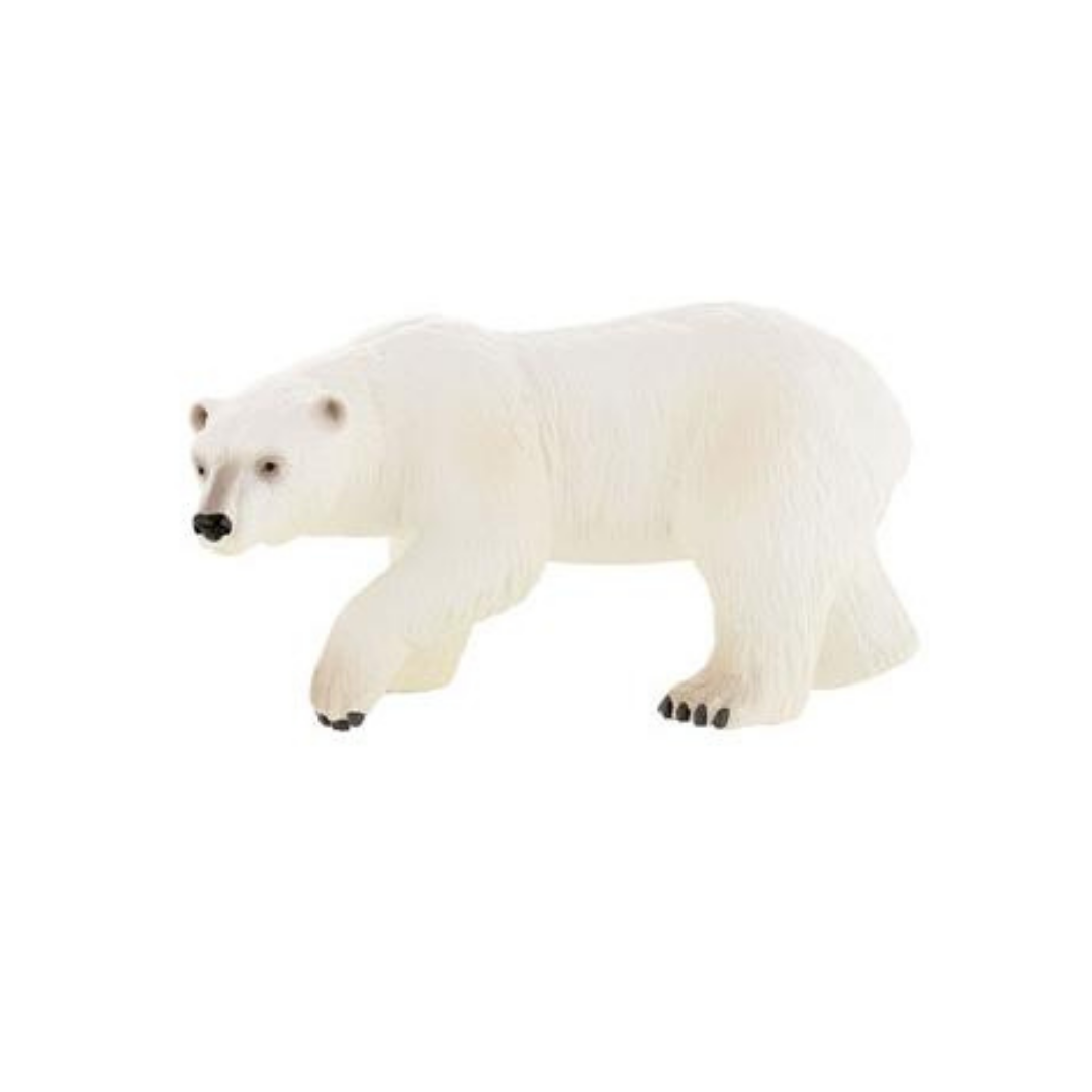 Urso polar